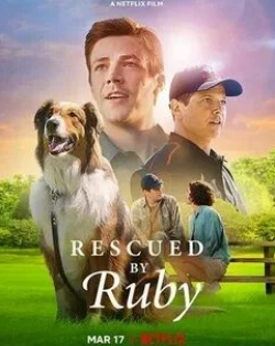 кадр из фильма Руби, собака-спасатель