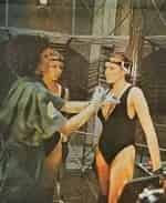 Божена Стрыйкувна и фильм Сексмиссия, или Новые амазонки (1983)