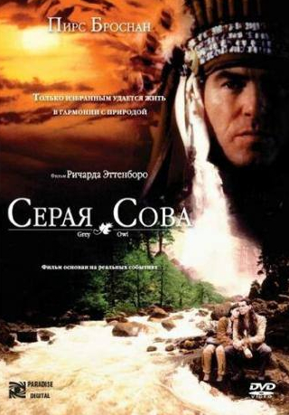 Власта Врана и фильм Серая сова (1998)