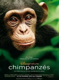 Тим Аллен и фильм Шимпанзе (2012)