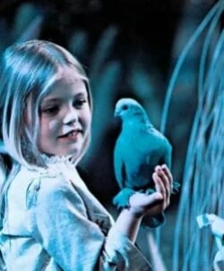 Синяя птица кадр из фильма