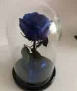 Синяя роза кадр из фильма