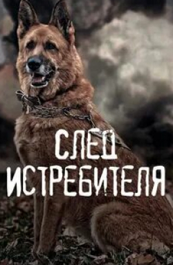 Александра Шевченко и фильм След Истребителя (2015)