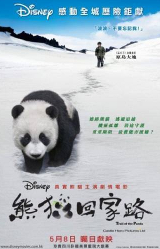 кадр из фильма След панды