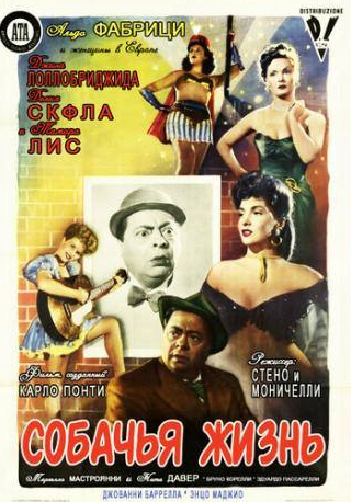 Джина Лоллобриджида и фильм Собачья жизнь (1950)