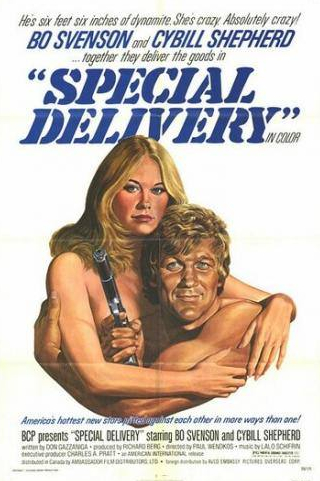 Бо Свенсон и фильм Специальная доставка (1976)