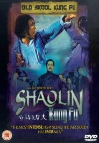 Джет Ли и фильм Тайное боевое искусство Шаолиня (1994)