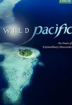 Тайны Тихого океана кадр из фильма