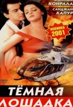 Тинну Ананд и фильм Темная лошадка (2001)