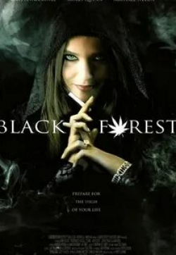 кадр из фильма Темный лес: Ганс, Грета и 420-я ведьма