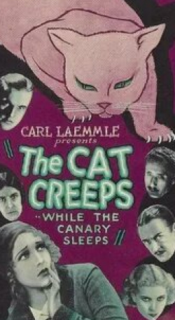 кадр из фильма The Cat Creeps