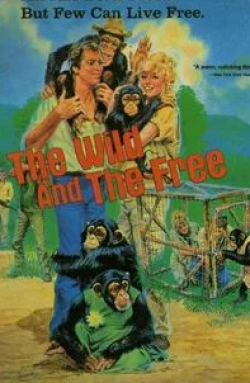 кадр из фильма The Wild and the Free