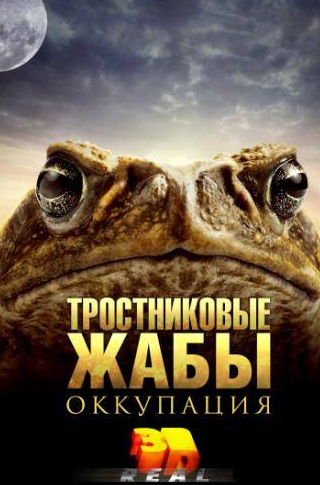Нил Янг и фильм Тростниковые жабы: Оккупация (2010)
