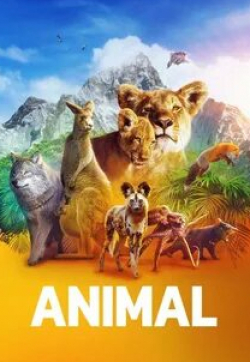 Джош Цукерман и фильм Удивительные животные (2021)