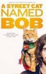 Уличный кот по кличке Боб кадр из фильма