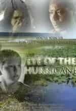 Стивен Уильямс и фильм Ураган (2012)