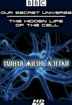 Дэвид Теннант и фильм Внутренняя вселенная: Тайная жизнь клетки (2012)