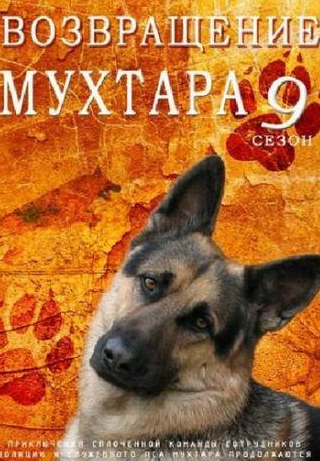 Оксана Сташенко и фильм Возвращение Мухтара 9 (2013)