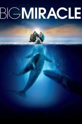 Джон Красински и фильм Все любят китов (2012)