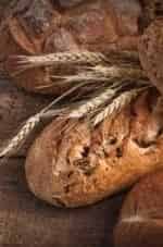 Хлеб Хлеб и ген кадр из фильма
