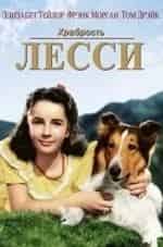 Элизабет Тэйлор и фильм Храбрость Лесси (1946)