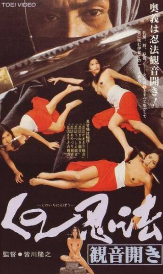 Мики Мизуно и фильм Хроники династии ниндзя (1991)