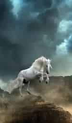 Земля и вода Аргентина, земля крылатых лошадей кадр из фильма