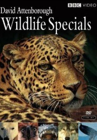 Дэвид Аттенборо и фильм Живая природа: Специальные выпуски (1995)