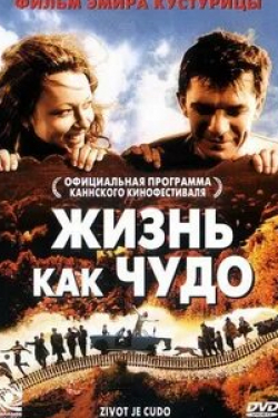 Стрибор Кустурица и фильм Жизнь как чудо (2004)
