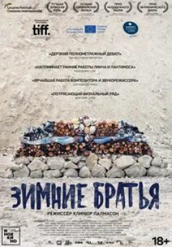 Ларс Миккельсен и фильм Зимние братья (2017)