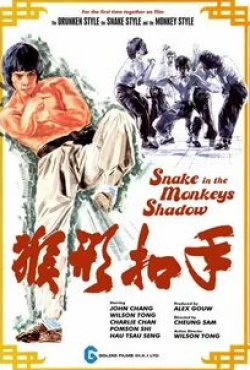Джон Чунг и фильм Змея в тени обезьяны (1979)